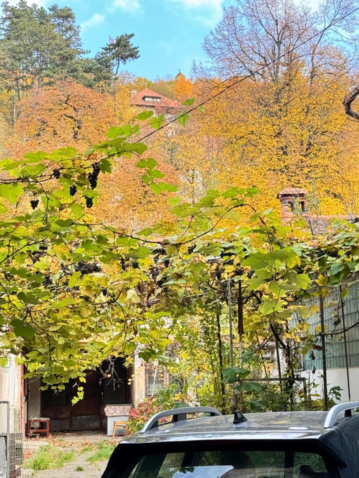 Casa Ming Villa Брашов Екстериор снимка