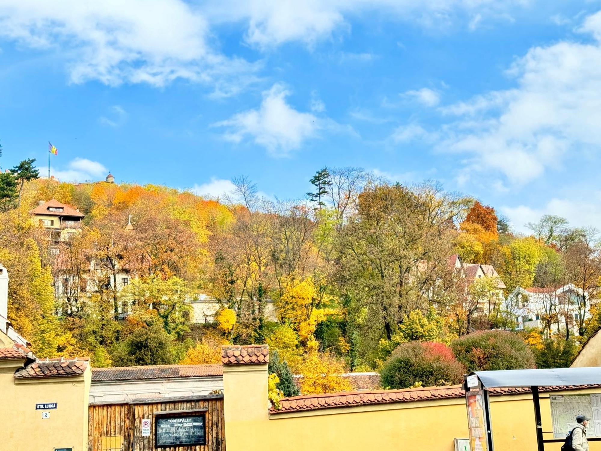 Casa Ming Villa Брашов Екстериор снимка
